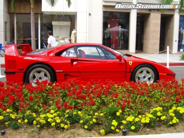 Misc 2007 Concourse On Rodeo 1 Picture #66 Misc 2007 Concourse On Rodeo 1 Picture #66